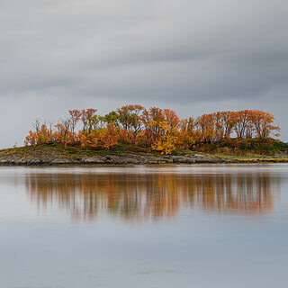 Senja - Hamn - Reflection